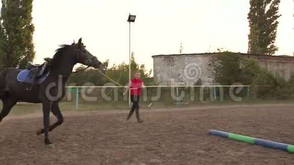 女骑手在赛马场训练一匹马视频的预览图