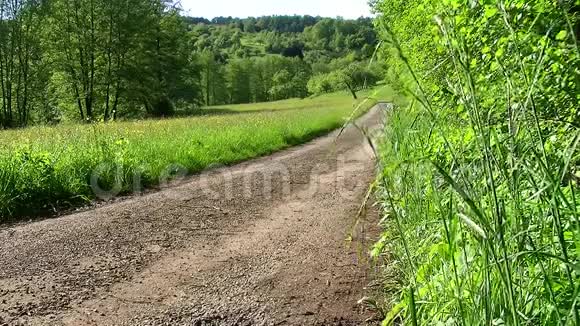 乡间小路附近的草地和树木视频的预览图