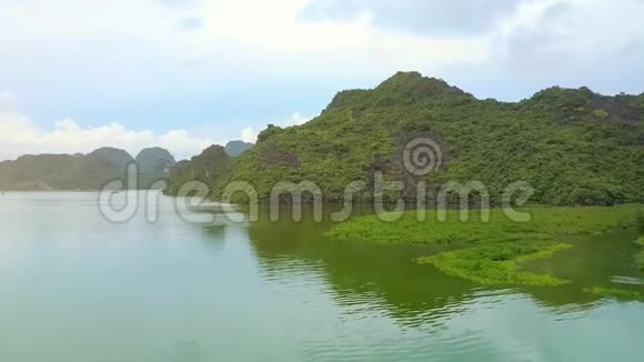 带水植物植物的海景海湾视频的预览图