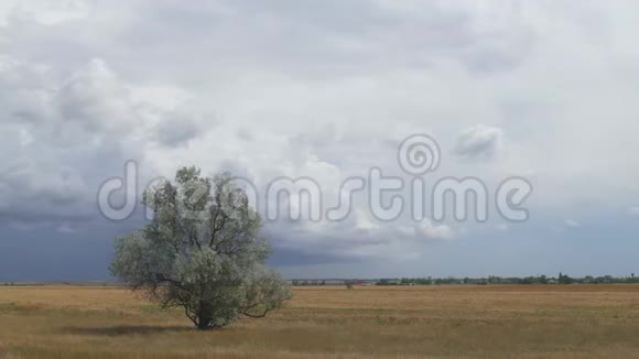 草原上的雷云时间流逝视频的预览图