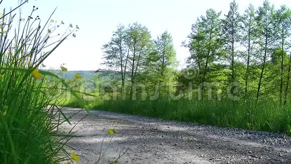 乡间小路附近的草地和树木视频的预览图