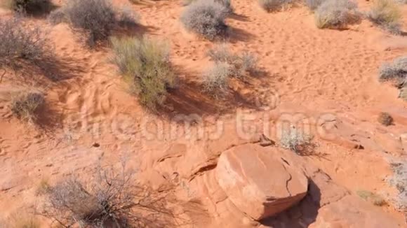红岩峡谷国家保护中的沙漠和悬崖视频的预览图