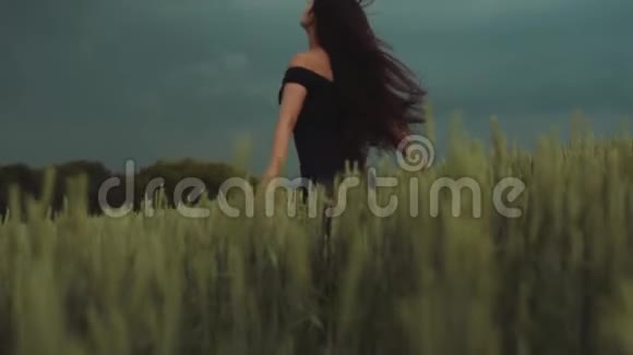漂亮的年轻长发女子穿着一件黑色的露肩连衣裙在金色的麦田里穿着一件结实的小麦视频的预览图