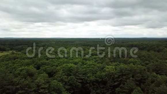 从飞过森林的无人机上看美国视频的预览图
