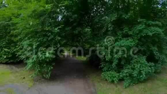 在公园里散步沿着森林路径运动POV视频的预览图