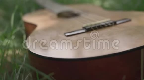 绿色草地上的声学吉他视频的预览图