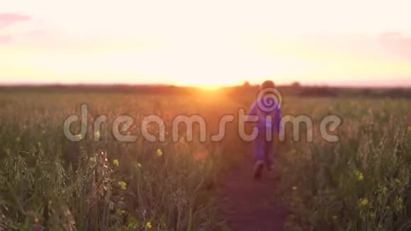 日落时分男孩在田野里散步视频的预览图