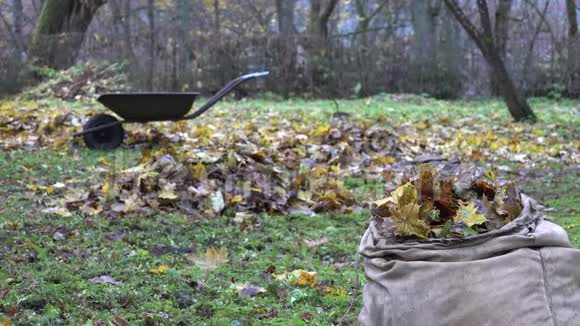 后院充满干燥秋叶的织物袋4K视频的预览图