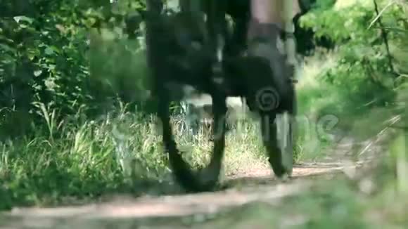 在公园小径上骑自行车的特写镜头视频的预览图