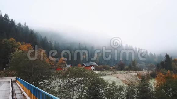喀尔巴阡山浓雾中的秋林视频的预览图