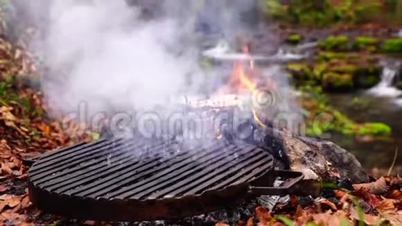 在壁炉上方的烤盘上美丽的近景篝火在野生自然的秋林中燃烧着橙色的火焰视频的预览图