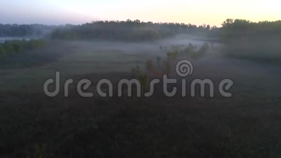 秋天的森林在黎明时分从一只鸟的视野中雾落叶和针叶树视频的预览图