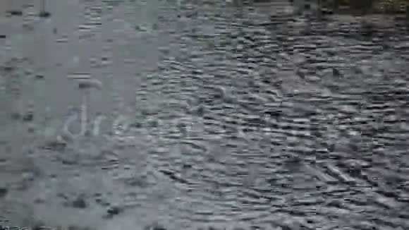 在公园的水泥地面上发生大雨和水浸视频的预览图