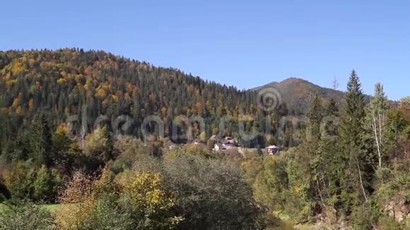 在多山地区阳光明媚的一天秋天的森林视频的预览图