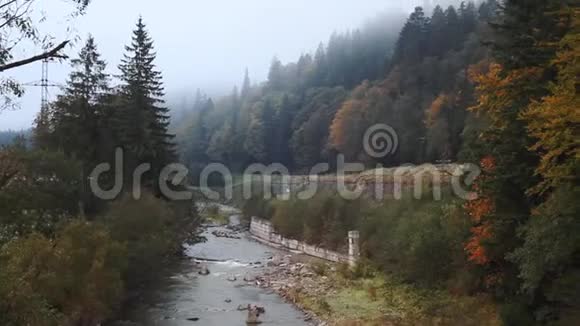 秋天的森林在雾中河水流过视频的预览图
