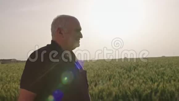 一个老农夫在绿色的麦田里散步视频的预览图