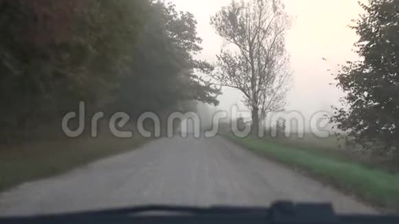 车驶过乡村碎石路秋色树间浓雾4K视频的预览图