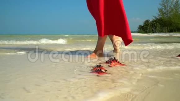 两帧视频热带白沙海水中有红海星小鱼岛上的海星一个女人视频的预览图