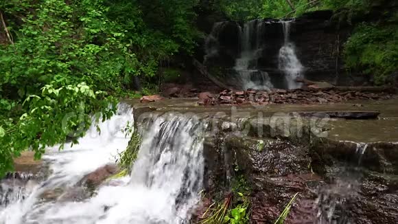 山林中的瀑布落在破树上视频的预览图