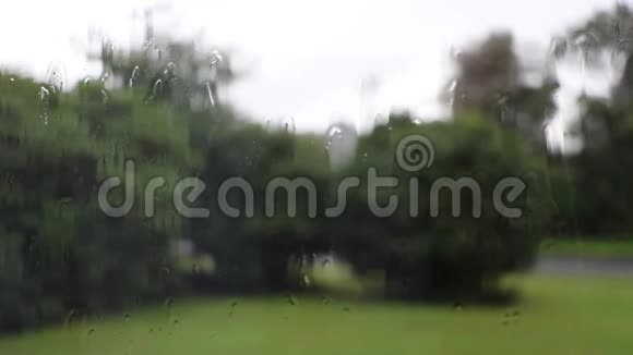 背景模糊的窗户上的雨风暴的成长视频的预览图