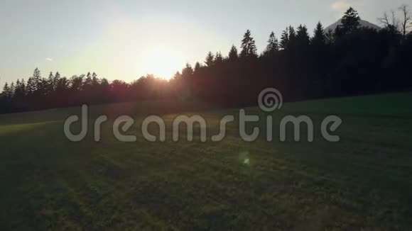 日落时分在夏季观赏美丽的绿色草地和森林视频的预览图