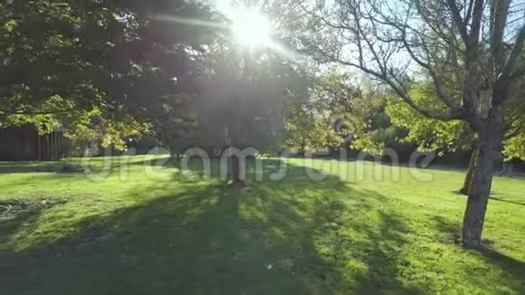 秋天的新西兰公园视频的预览图