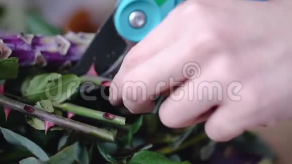 特写专业花艺师剪枝花的末端以便布置视频的预览图