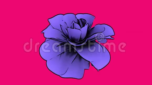 卡通紫色的花视频的预览图