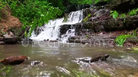 山林中的瀑布落在破树上视频的预览图