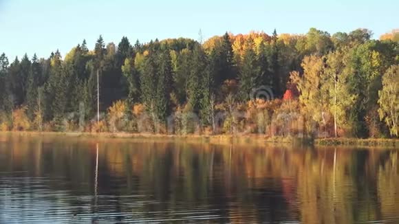 秋天是四季中的一个视频的预览图