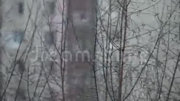 潮湿的雪和多风的天气视频的预览图