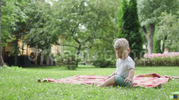 坐在格子布上的小男孩在公园里哀鸣视频的预览图