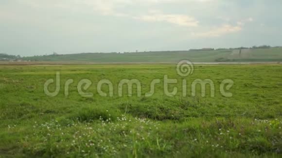 青翠的草地蓝天下有田野的花白云视频的预览图