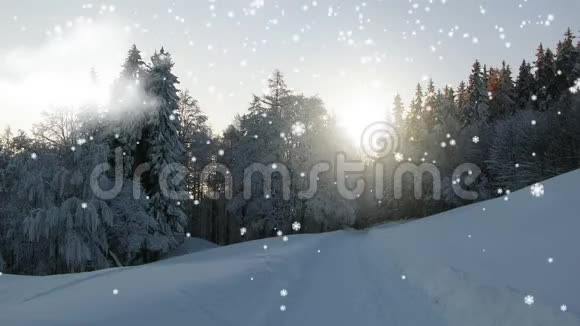 带夜空和日落的冰冻景观雪花落在冬天的风景上视频的预览图