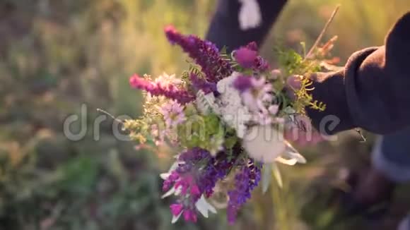 日落或日出时女人手中的田野花朵视频的预览图