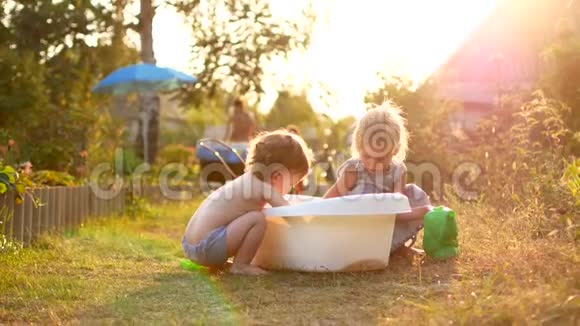 快乐开朗的孩子在暑假玩水可爱可爱的微笑的孩子们在花园里喷洒视频的预览图