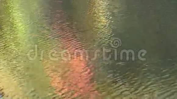 新英格兰河秋季38视频的预览图