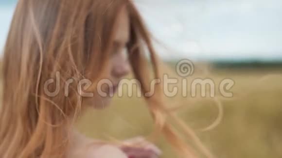 麦田里的红发女孩视频的预览图