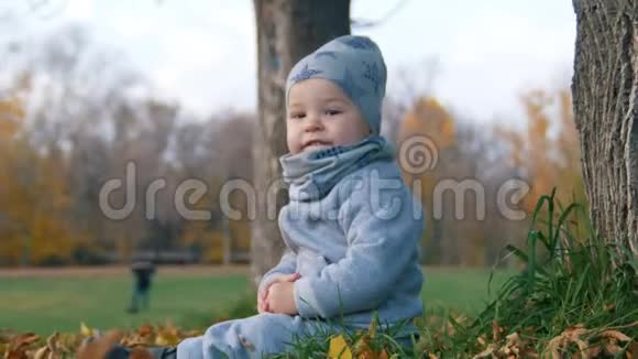 秋天公园里的一个小宝宝坐在草地上视频的预览图