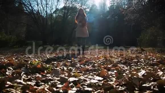 秋天的女人快乐地扔着落叶在美丽的五彩缤纷的森林树叶中嬉戏奔跑视频的预览图