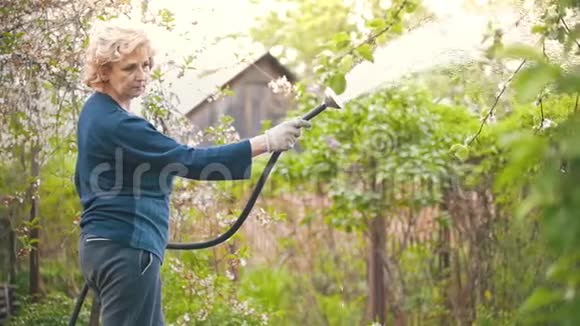 成年妇女用水管给一棵苹果树浇水夏天在花园里视频的预览图