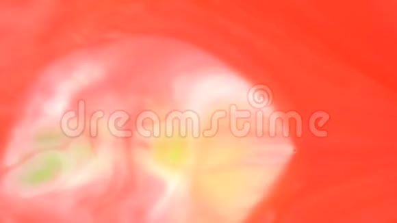 红色绿色橙色抽象食品颜色墨水移动或流动背景视频的预览图