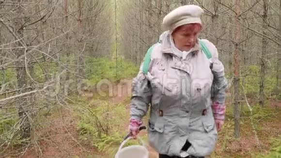 老太太秋天在森林里采蘑菇视频的预览图