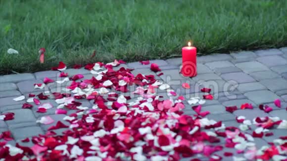 人行道上的玫瑰花瓣视频的预览图