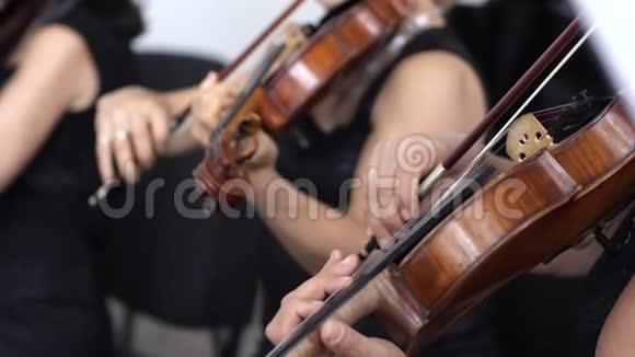 在交响音乐会上两名女子在慢动作演奏木制小提琴视频的预览图