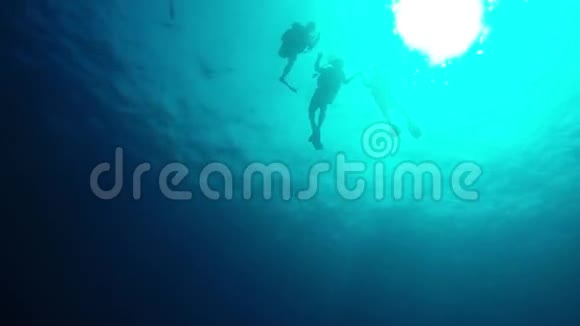 潜水员在阳光下潜水视频的预览图