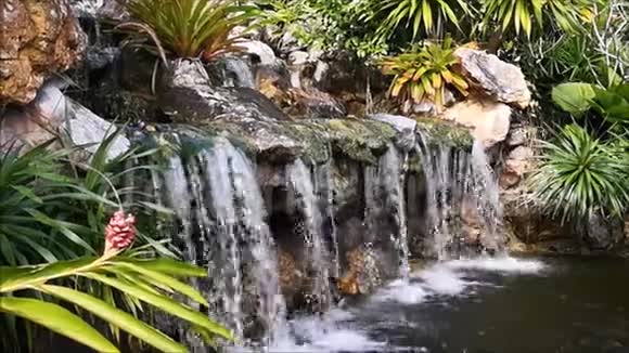 的概念自然是人类亲手创造的小瀑布被小树和灌木丛包围被建成了一个小瀑布视频的预览图