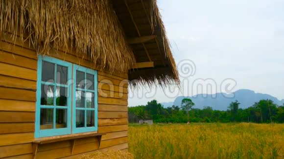 可爱的乡间小屋在田野的边缘视频的预览图