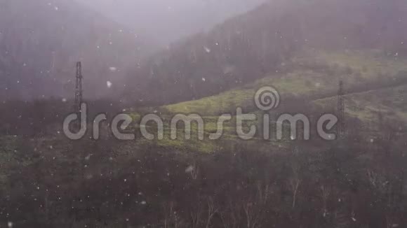 一场暴风雪正在刮风秋天的傍晚在森林的背景下下雪视频的预览图