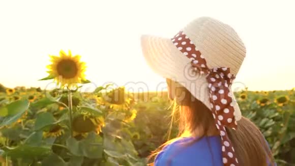 穿着蓝色连衣裙和帽子的女人在田野里嗅着向日葵农业收获视频的预览图